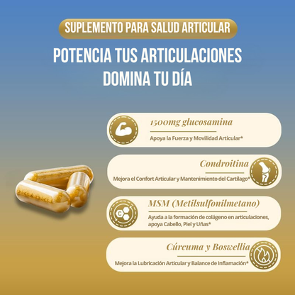 Paquete Volna Movilidad+